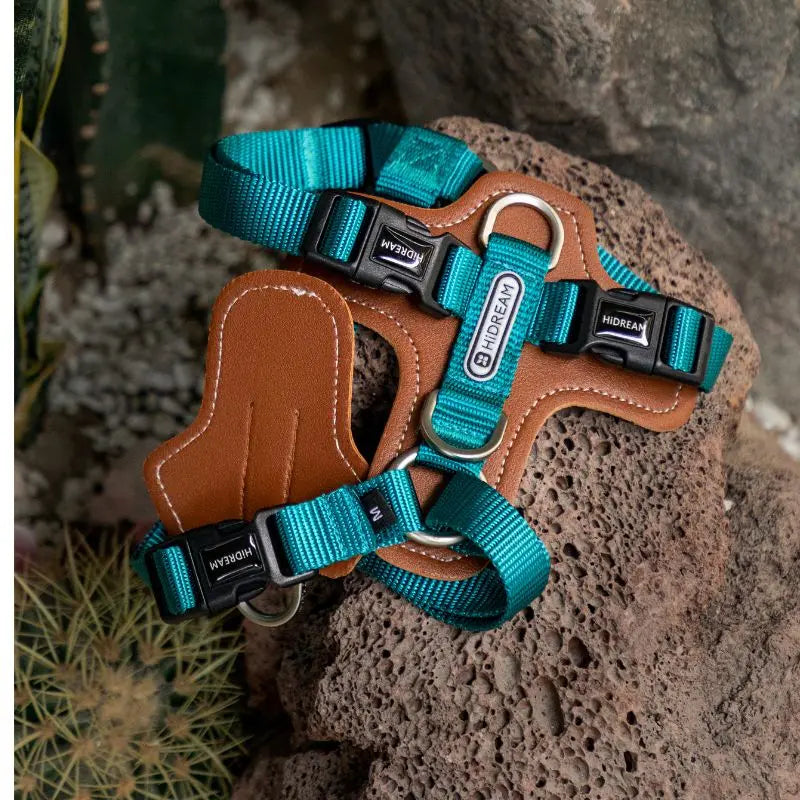 UrbanGlide Dog Harness – Hands-Free Control for Training & Walks  Petrkl  .