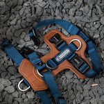 UrbanGlide Dog Harness – Hands-Free Control for Training & Walks  Petrkl  .