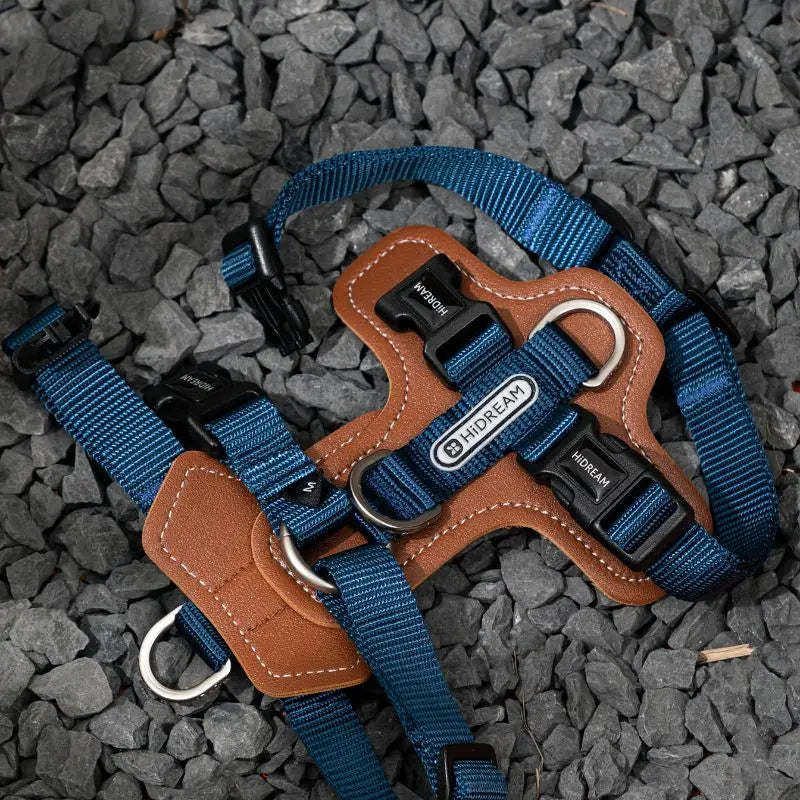 UrbanGlide Dog Harness – Hands-Free Control for Training & Walks  Petrkl  .