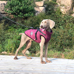 Waterproof Dog Coat with Harness Warm Padded Winter Jacket Petrkl
