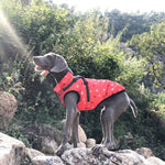 Waterproof Dog Coat with Harness Warm Padded Winter Jacket Petrkl