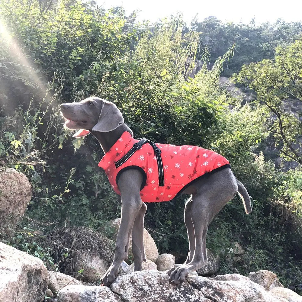Waterproof Dog Coat with Harness Warm Padded Winter Jacket Petrkl