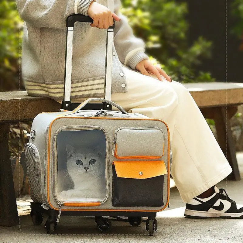 Pet Rolling Carrier Backpack With Wheels Trolley Bag  Petrkl  .