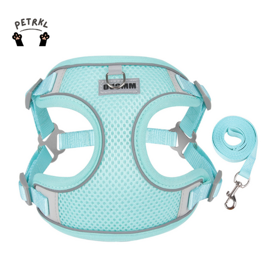 Air BreezeMesh Dog Harness Set