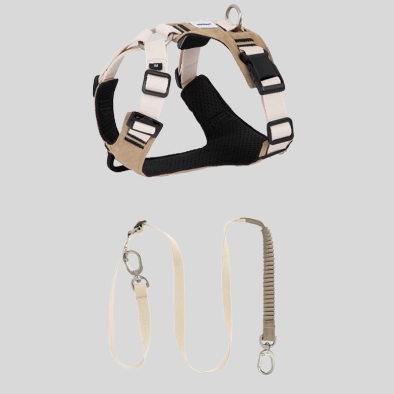 best dog harness
