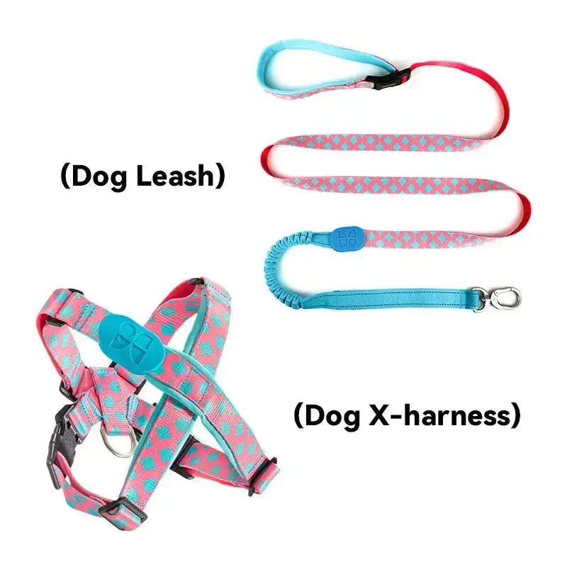 chroma dog leash and harness