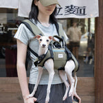 comfortable dog backpack carrier