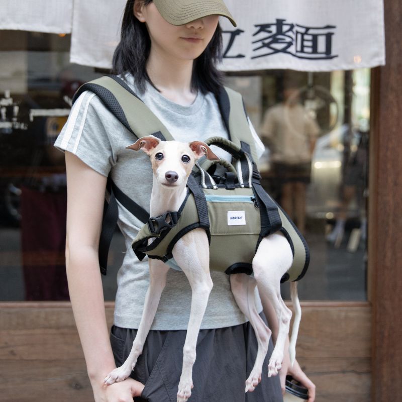 comfortable dog backpack carrier