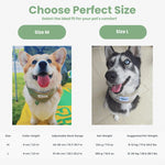 cooler collar for dogs 4