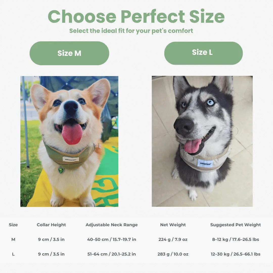 cooler collar for dogs 4