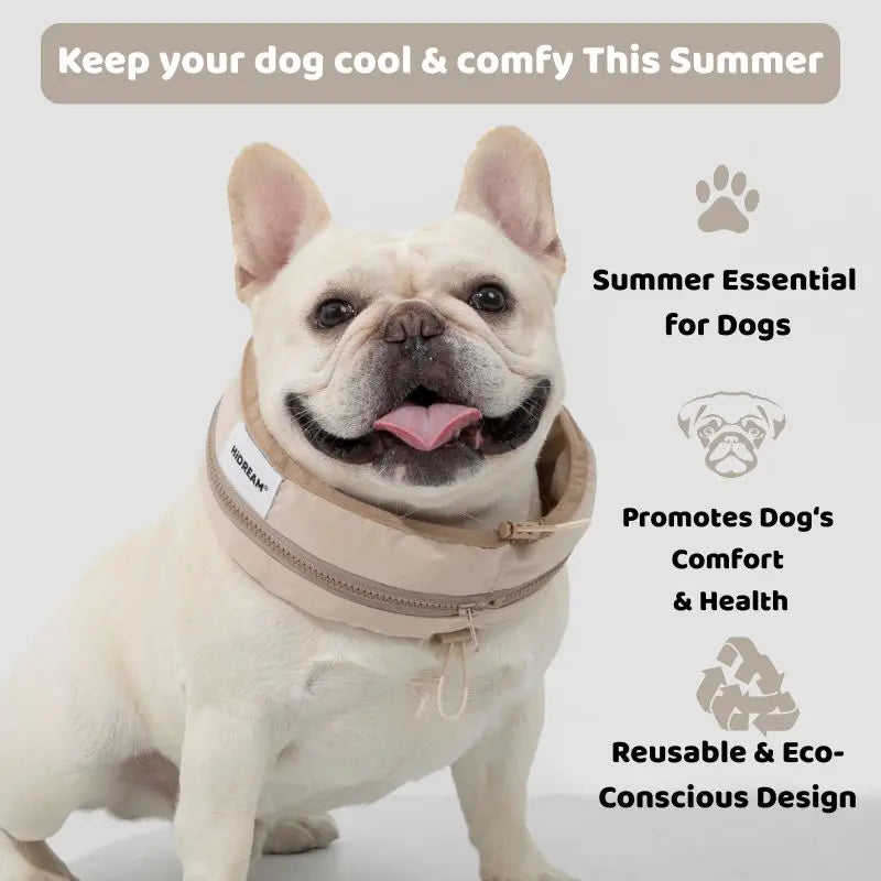 cooler collar for dogs petrkl
