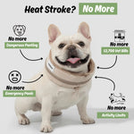 cooling collar for dogs
