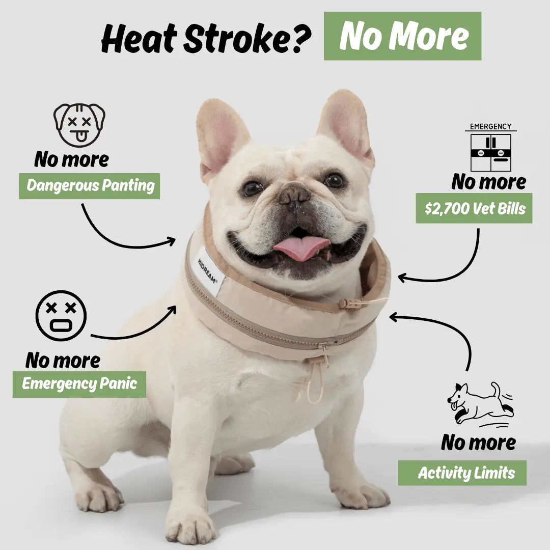 cooling collar for dogs