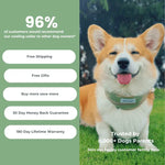 cooling collar for dogs  Petrkl  .