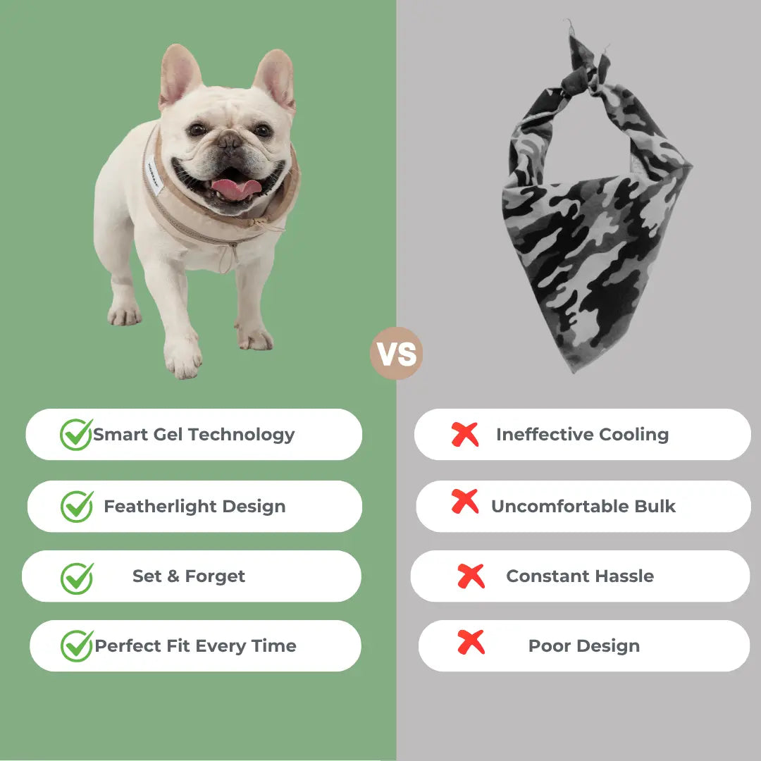 cooling collar for dogs2