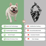 cooling collar for dogs2