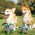 Petrkl™ PawKick – Interactive Dog Soccer Ball with Straps Petrkl