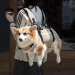 dog carrier bag outside