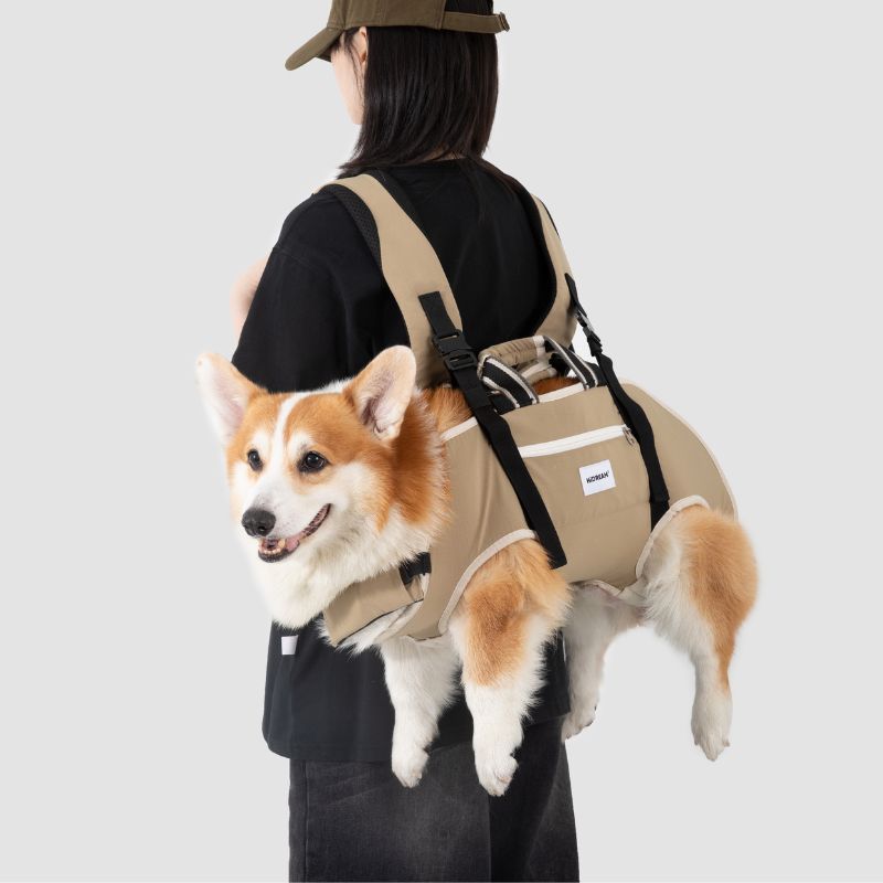 dog carrier for large dogs