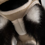 dog carrier with dog