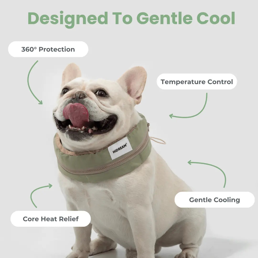 dog cooling collar 1