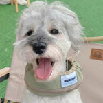 dog cooling collar 3