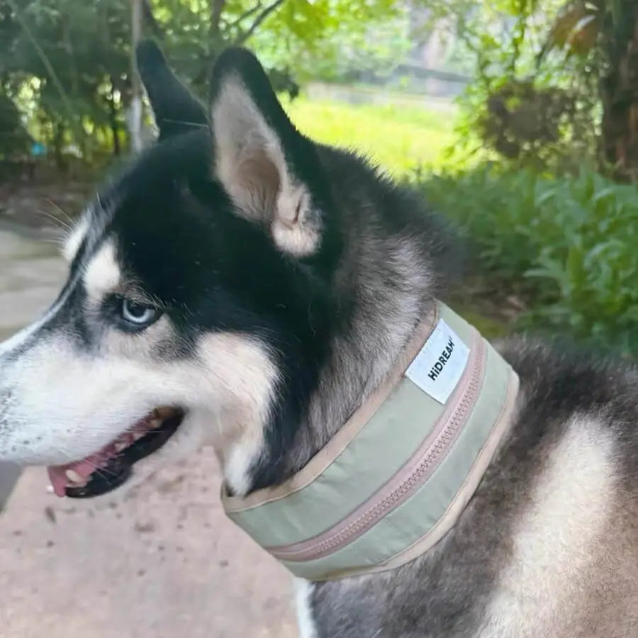 dog cooling collar  Petrkl  4