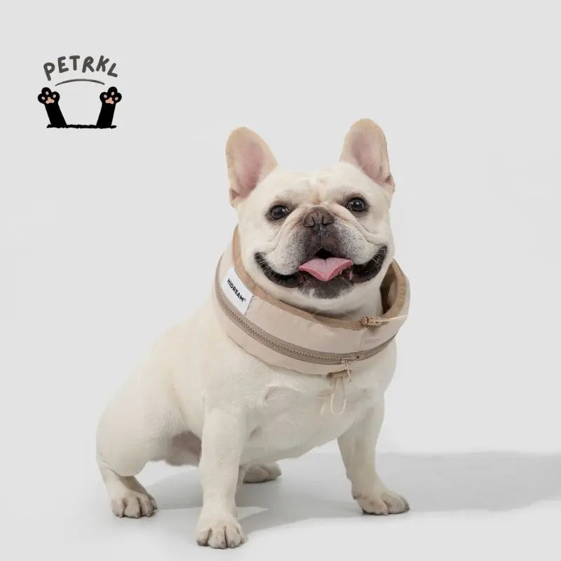 dog cooling collar 5