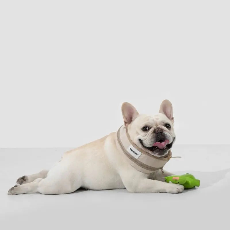 dog cooling collar 8