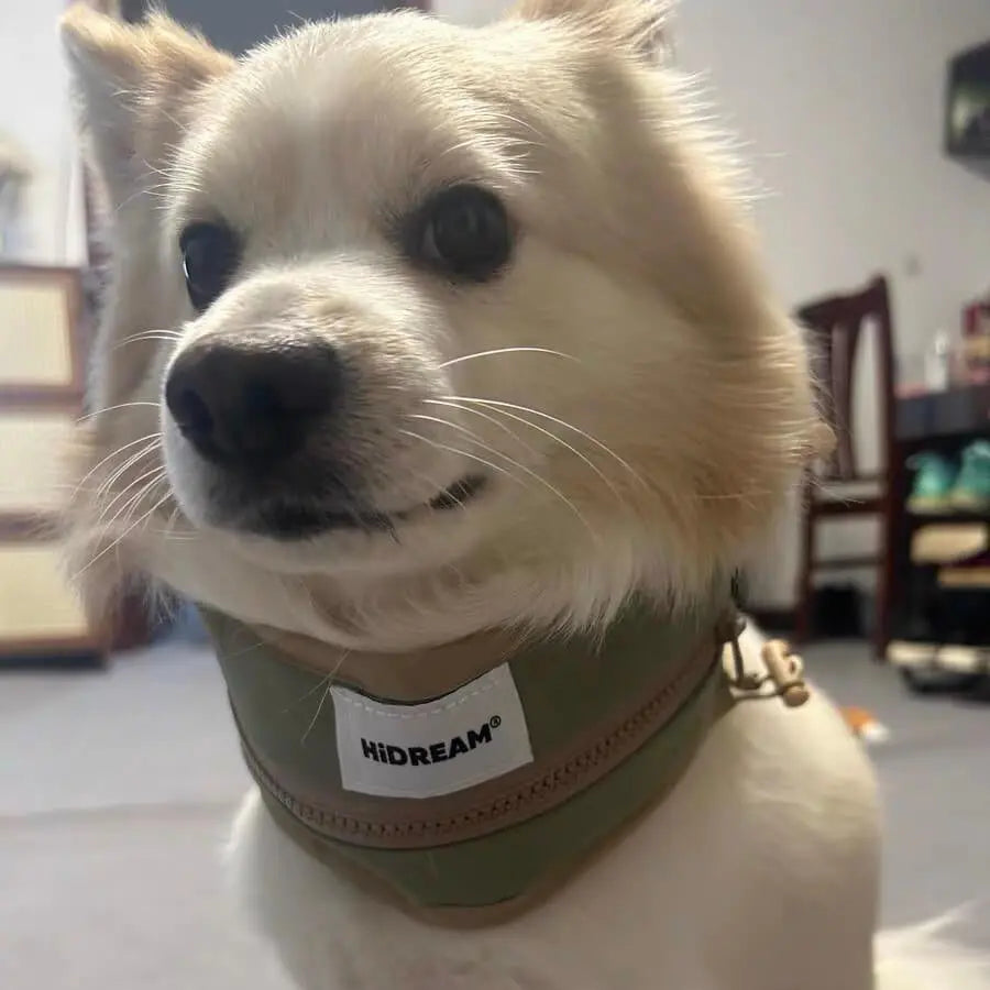 dog cooling collar small dog