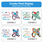 dog harness and leash