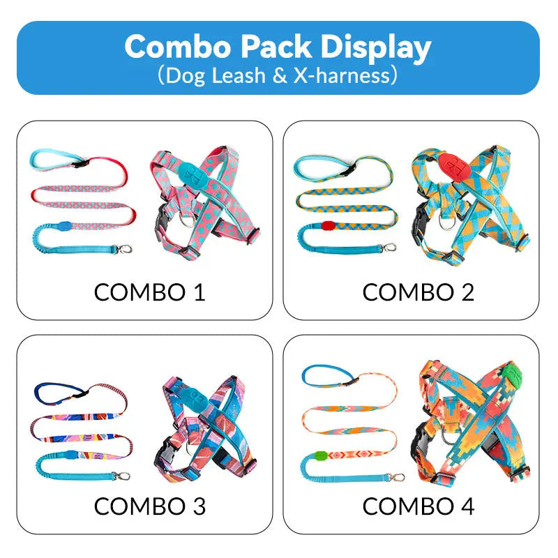 dog harness and leash