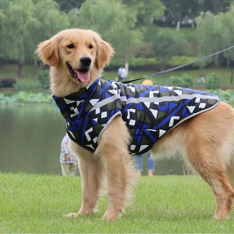 dog waterproof coat Petrkl