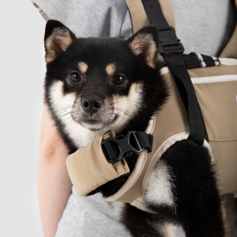 ergonomic pet carrier backpack
