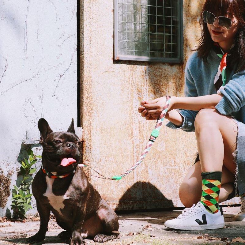 harness-for-dogs-daily-walk-control 2