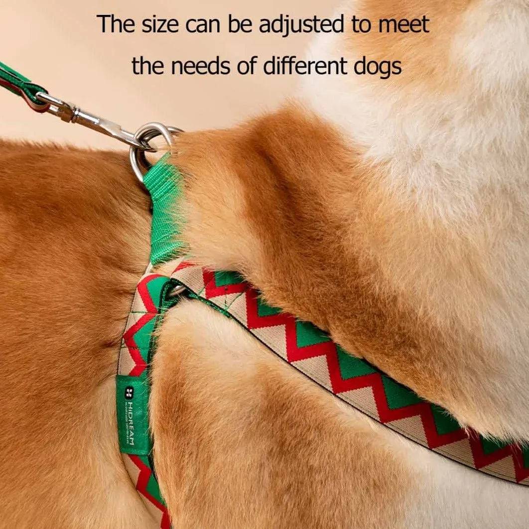 Rainbow Series - 'Y' Dog Harness Bundle PETRKL