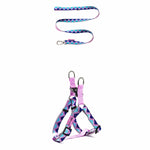 Rainbow Series - 'Y' Dog Harness Bundle PETRKL