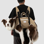 vet approved dog carrier backpack
