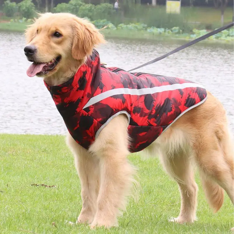 waterproof dog coat Petrkl